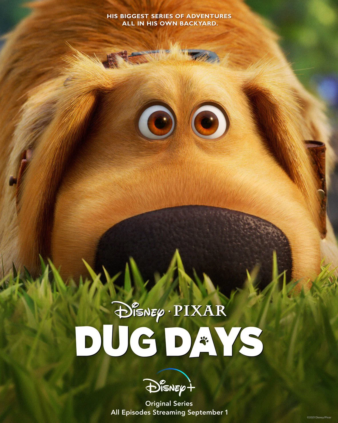 Cuộc Phiêu Lưu Của Dug Cuộc Phiêu Lưu Của Dug