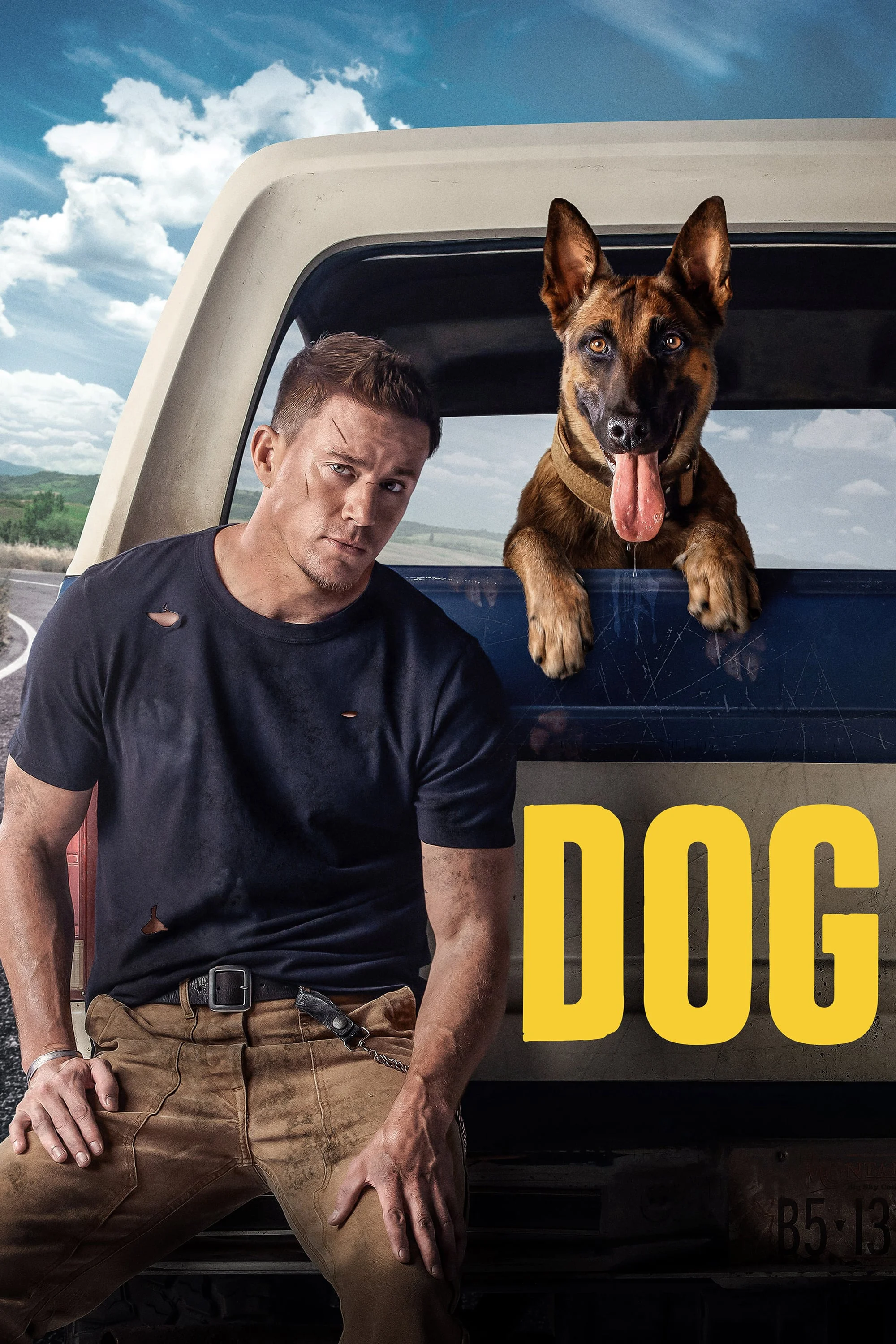 Dog Dog