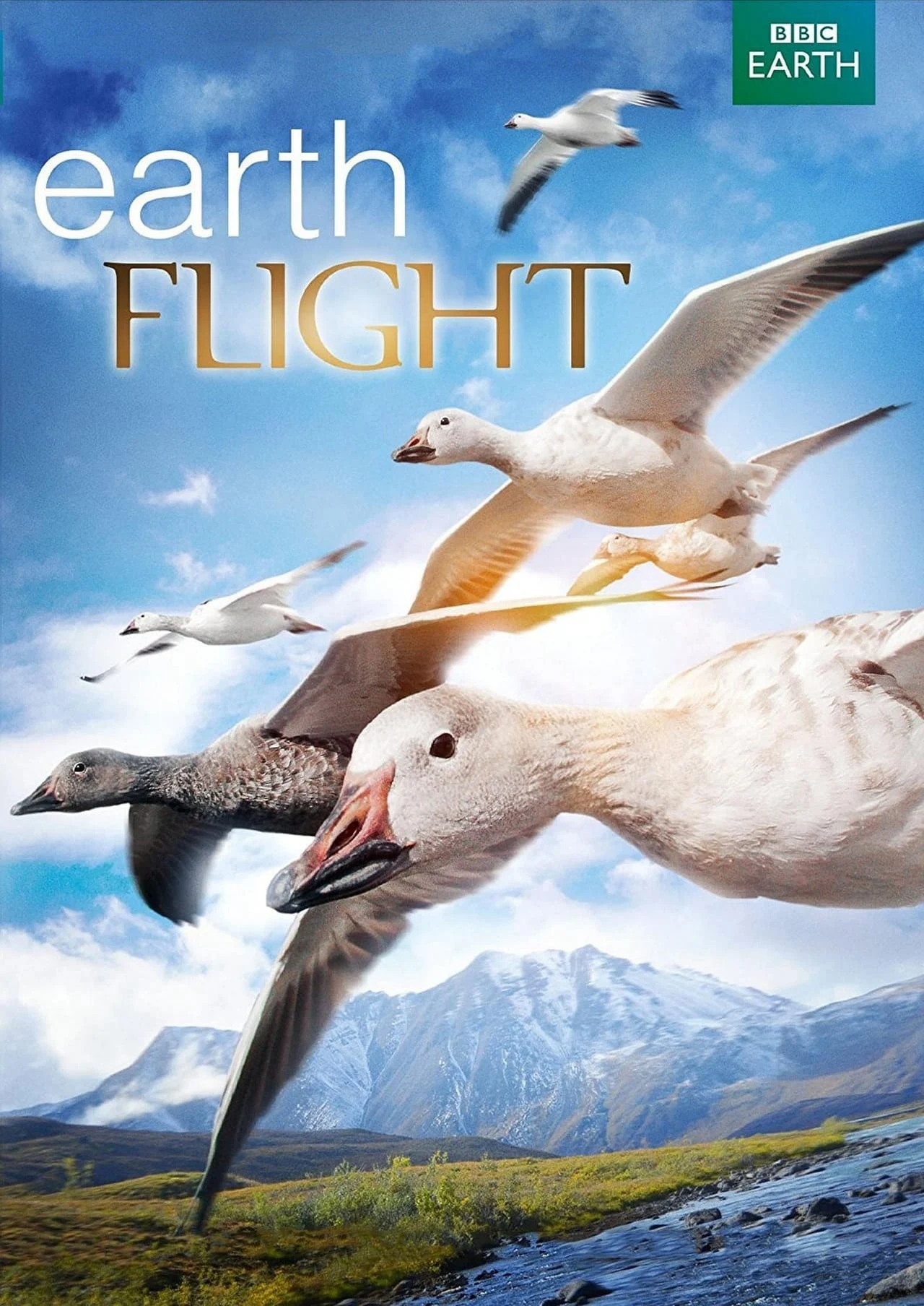 Earthflight Earthflight