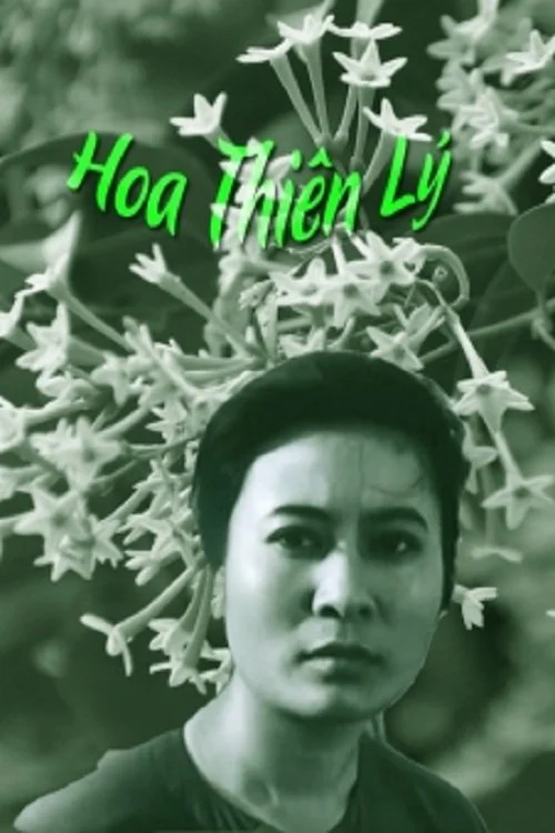 Hoa Thiên Lý Hoa Thiên Lý