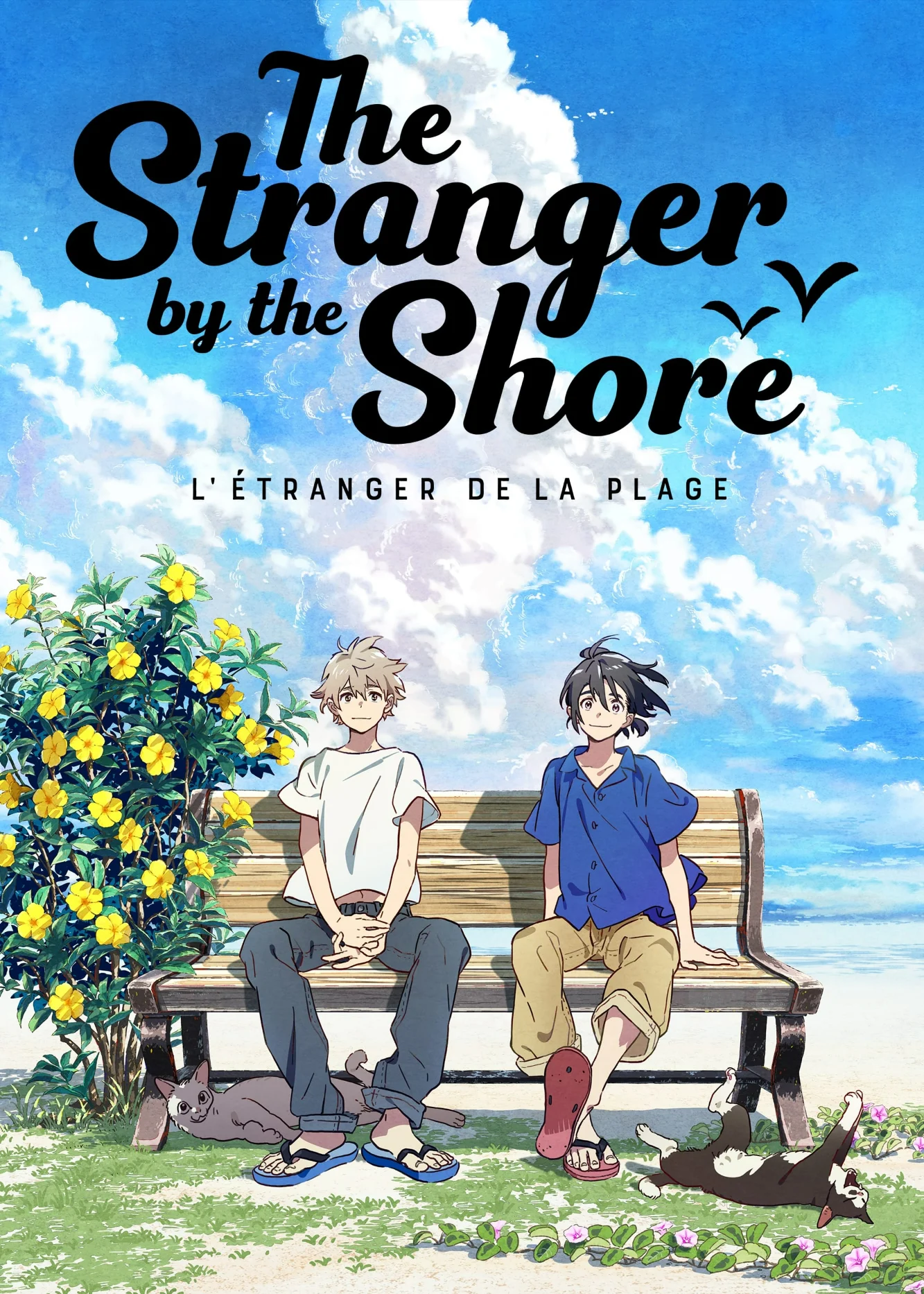 The Stranger by the Beach The Stranger by the Beach